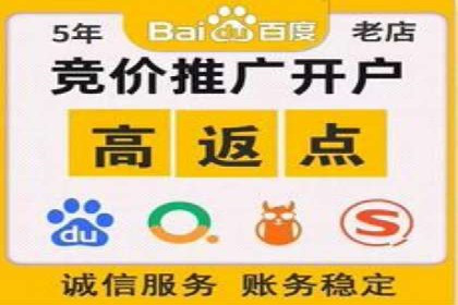 百度SEO推广策略案例：一家公司的成功转型之路